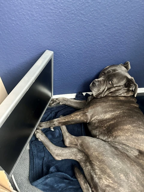 Hier arbeiten wir
